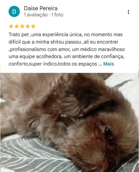 Avaliação 5 estrelas