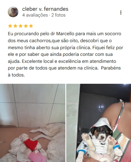 Avaliação 5 estrelas