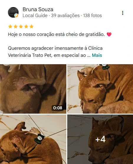 Avaliação 5 estrelas